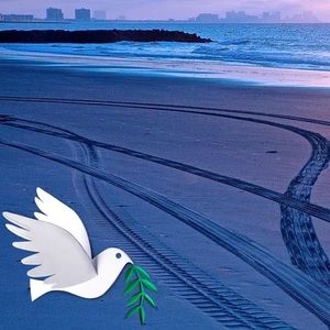 Meet your Posher, Shawn